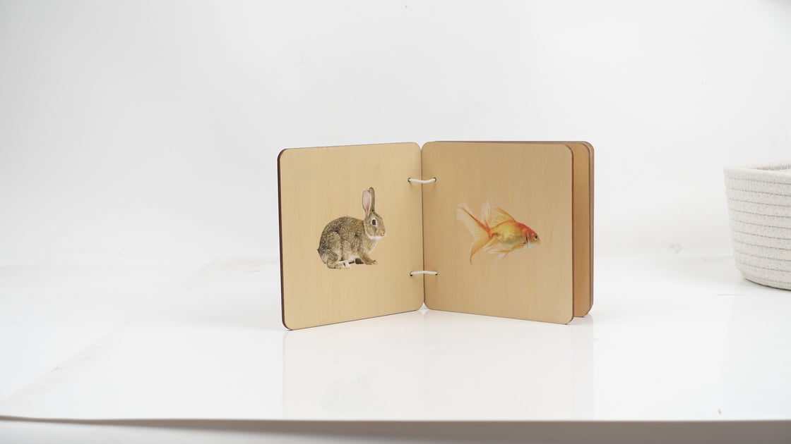 Wonder Box Rabbits The Little Wonder Box | 3 - 4 Months – Montessori At Home