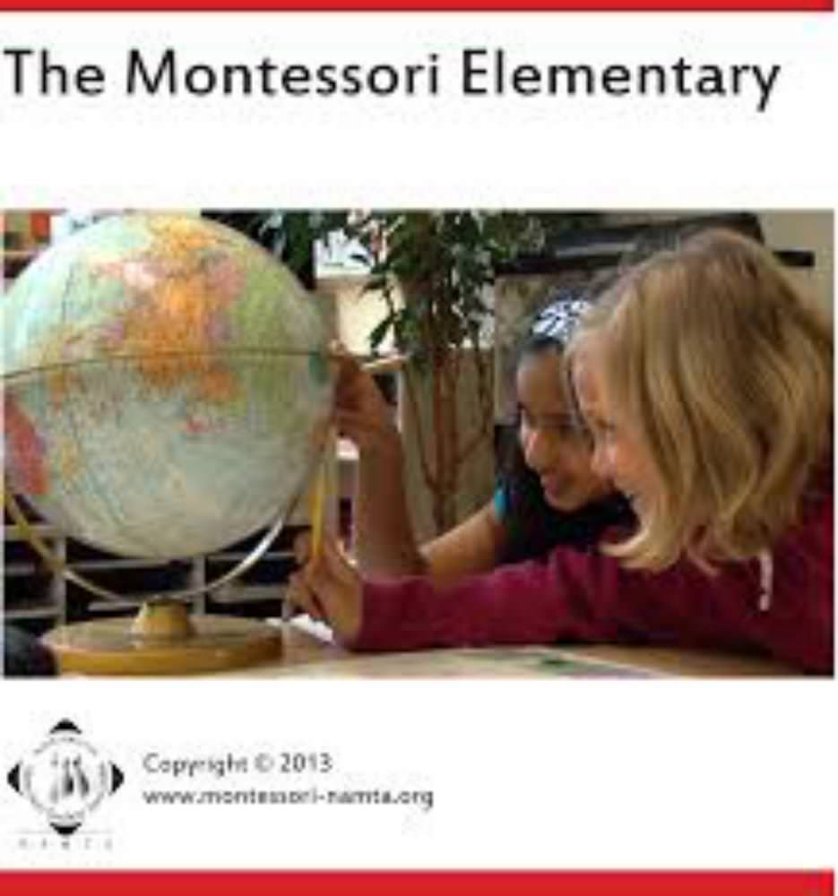 DVD: The Montessori Elementary