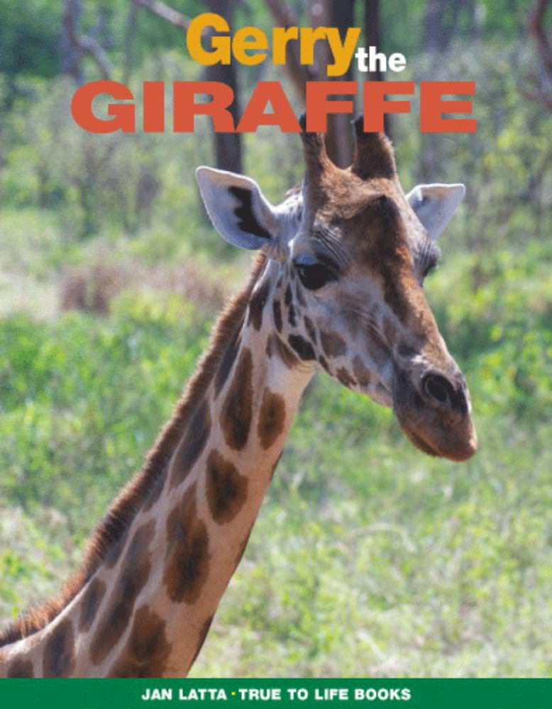 Gerry the Giraffe