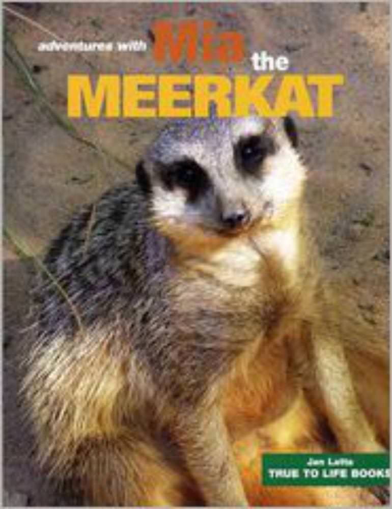 Mia the Meerkat