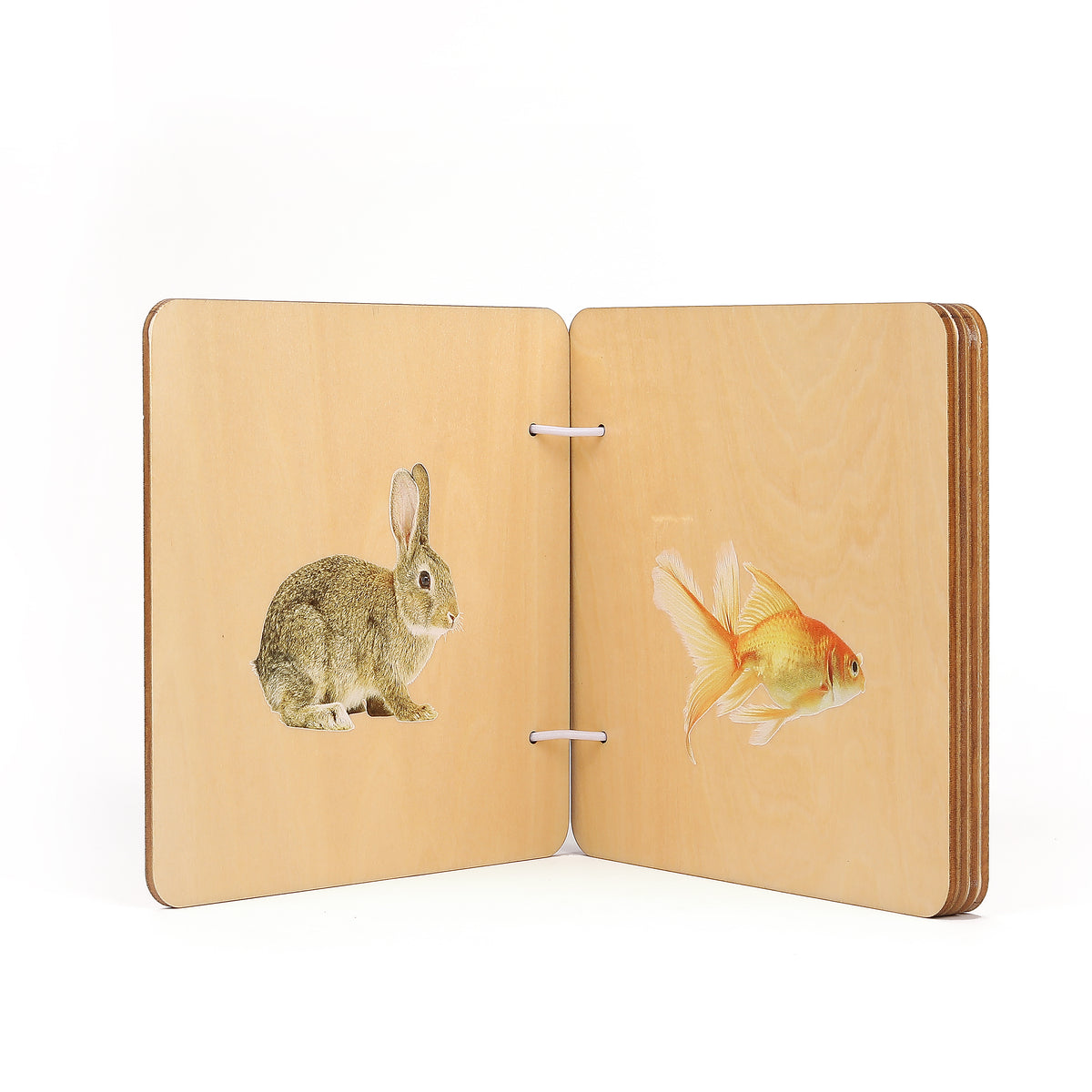 Wonder Box Rabbits The Little Wonder Box | 3 - 4 Months – Montessori At Home