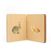 b. The Little Wonder Box (3 - 4 Months)