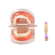 i. The Fearless Discoverer Box (19 - 21 Months)