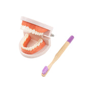 i. The Fearless Discoverer Box (19 - 21 Months)