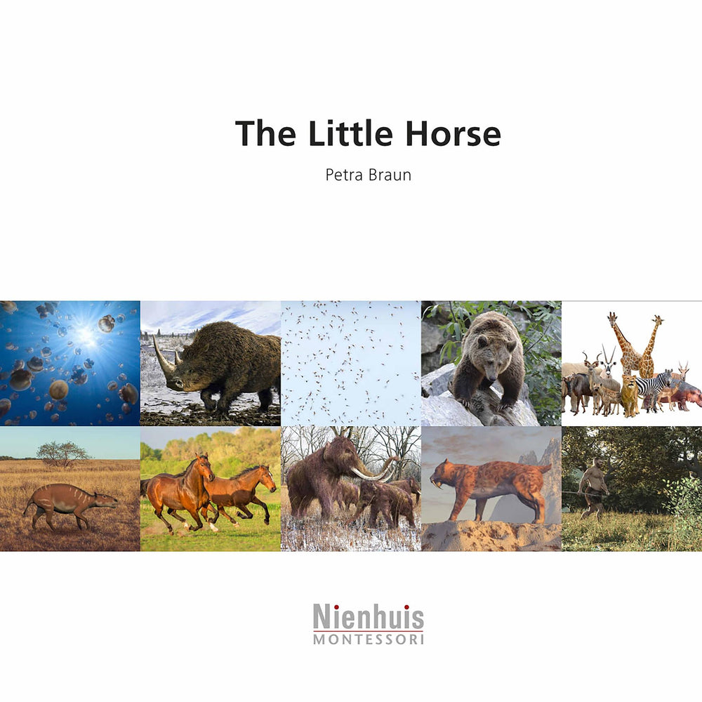 The Little Horse Booklet