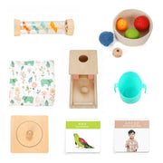 d. The On the Move Box (7 - 8 Months)