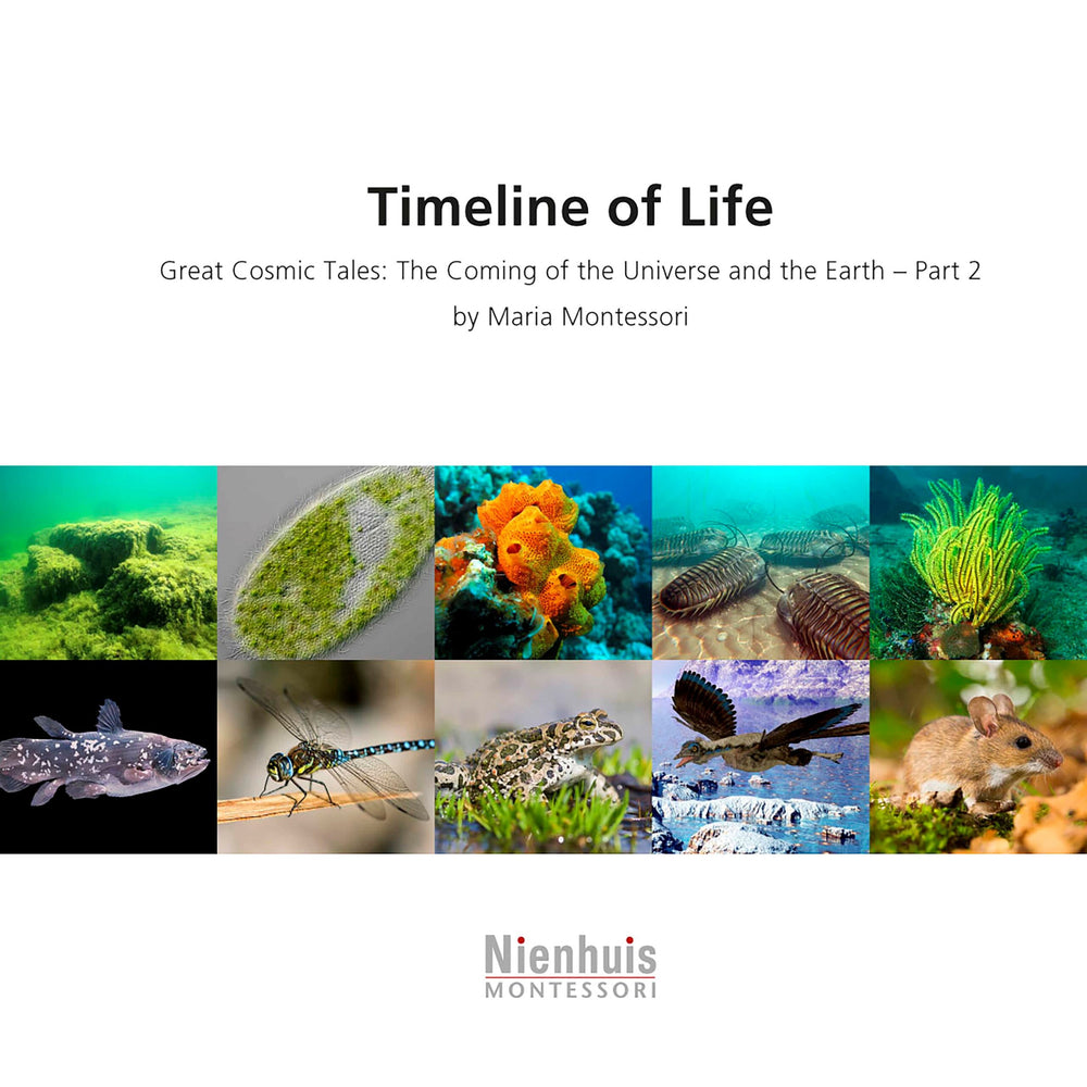 Timeline of Life