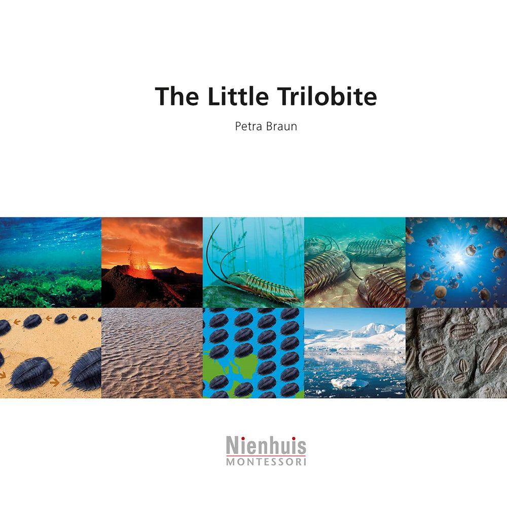 The Little Trilobite