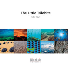 The Little Trilobite