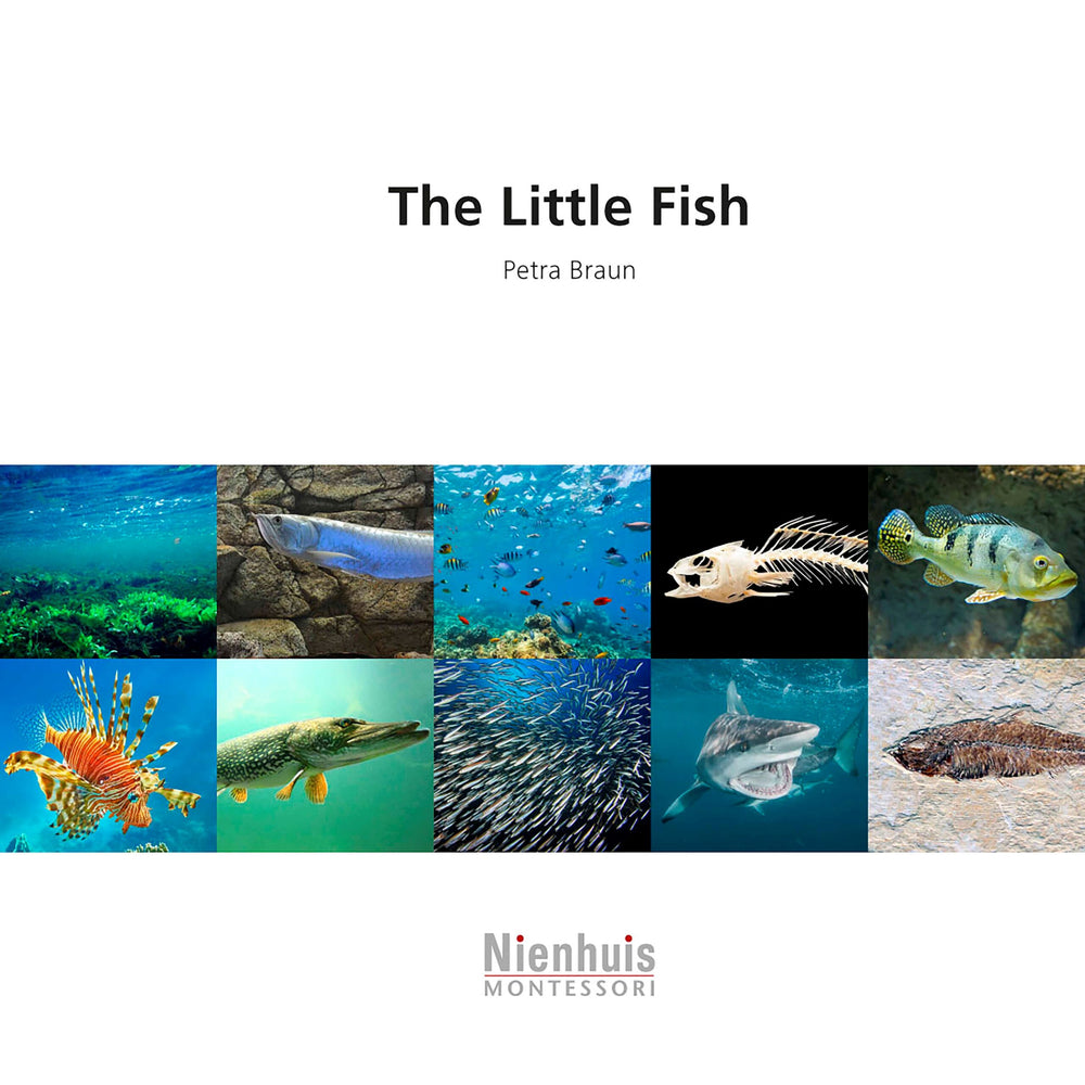 The Little Fish