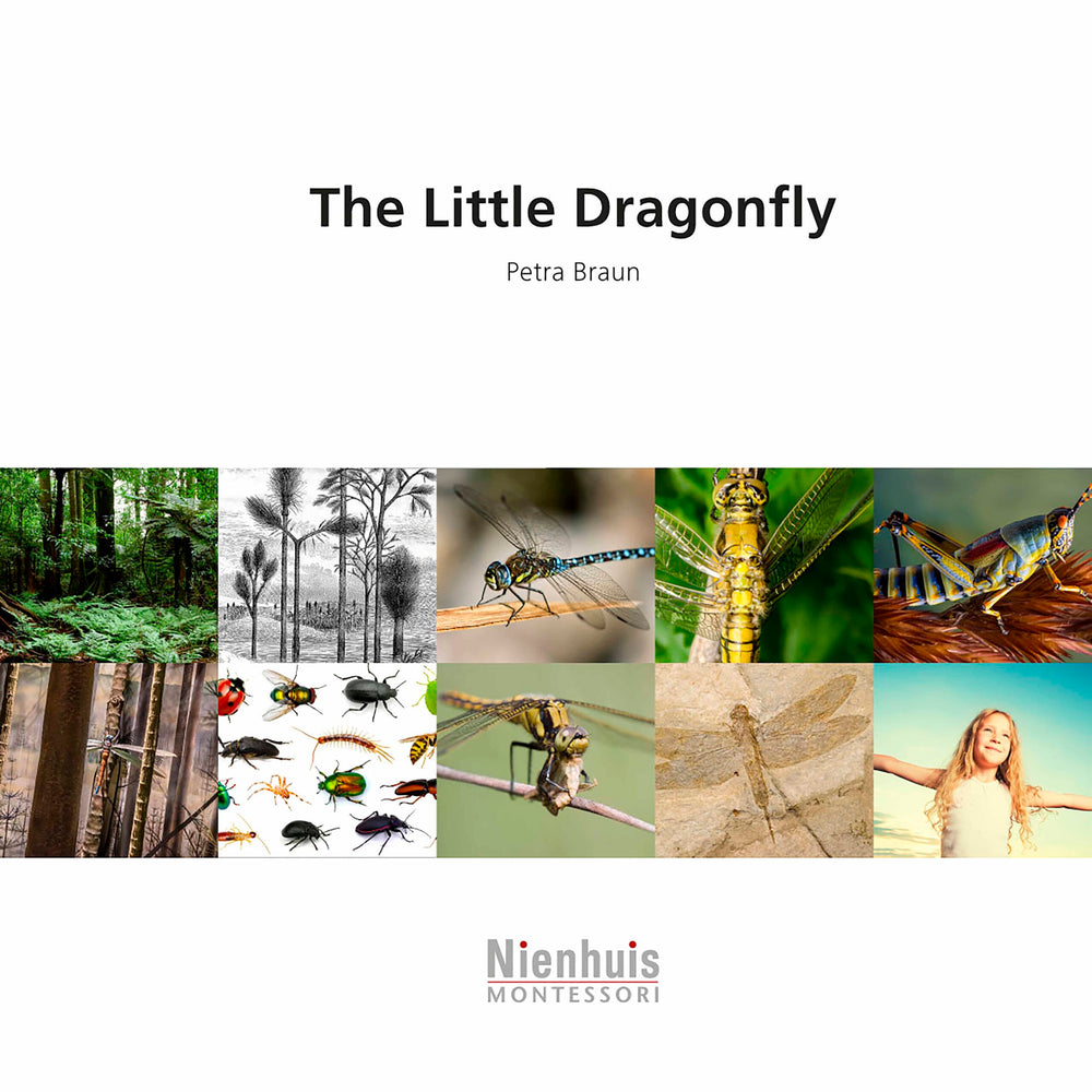 The Little Dragonfly