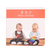 l. The Avid Creator Box (28 - 30 Months)