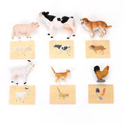 j. The Emerging Independence Box (22 - 24 Months)