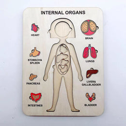Human Internal Organs Board Puzzle — Girl