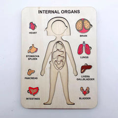 Human Internal Organs Board Puzzle — Girl