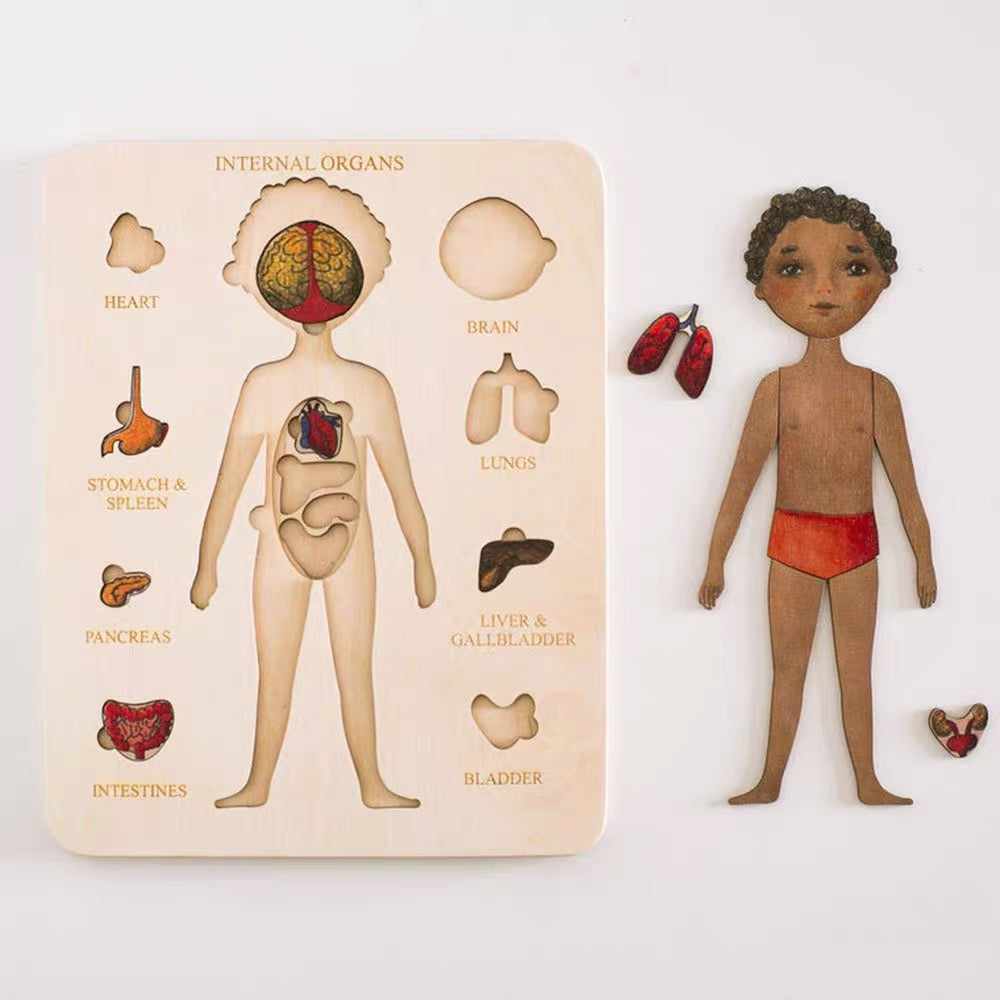 Human Internal Organs Board Puzzle — Boy