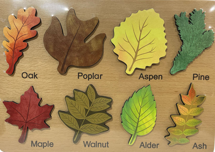 Different Kind Leaves Puzzle