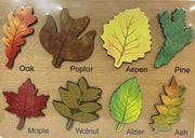 Different Kind Leaves Puzzle